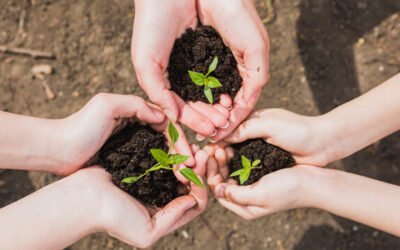 More Ideas, Less Waste